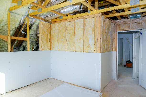 Best Insulation Installation Services in Ocklawaha, FL