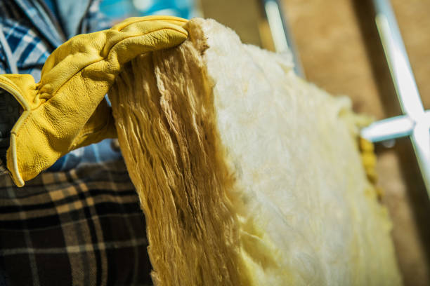 Best Commercial Insulation in Ocklawaha, FL