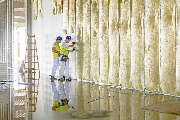 Best Insulation for Specific Applications in Ocklawaha, FL